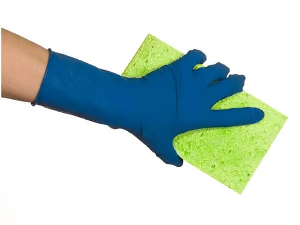 SpringCleaning101 SpringCleaning101