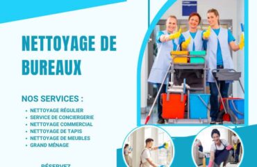 Entretien ménager commercial Entretien ménager commercial
