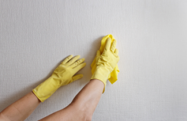 Nettoyage des murs et plafonds / Wall and Ceiling Cleaning Services