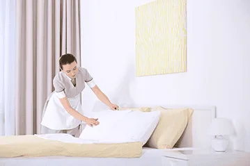 House and Apartment Cleaning Services