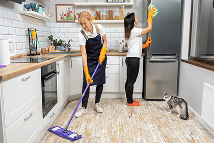 Travail Domestique à La Maison Une Femme Nettoyant La Porte De